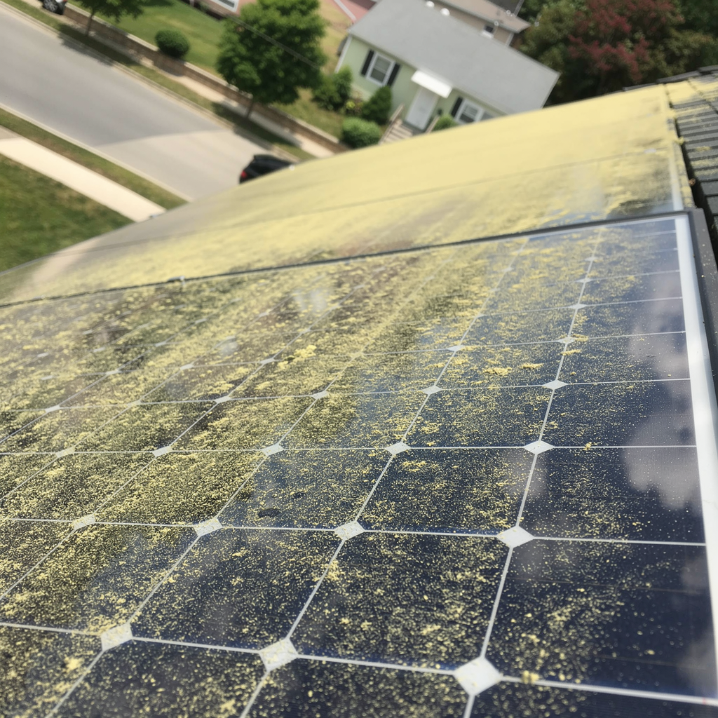 Solar panels with bird droppings in Cheshire, CT